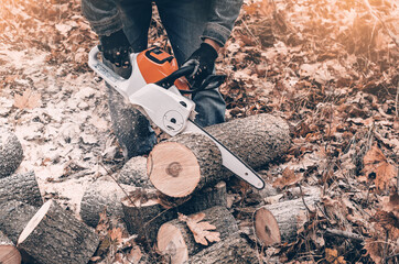 Cutting trees  in autumn in the woods. Man's hands hold a chain saw.