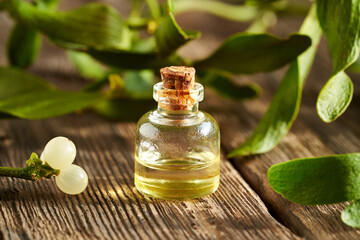 A bottle of essential oil with fresh mistletoe