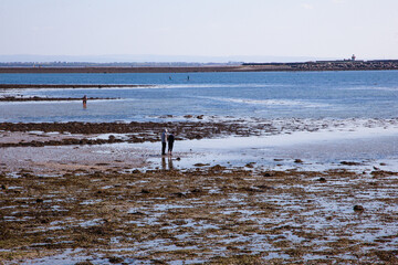 Fototapeta na wymiar irish west coast sea landscape low tide