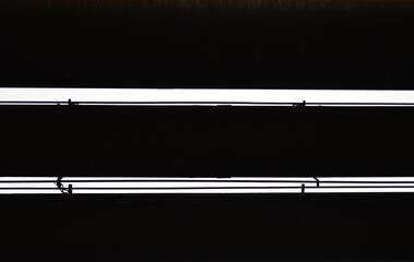 LINES01