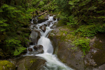 Beautiful, tranquil waterfall surrounded by lush, green foliage in North Bend, WA
