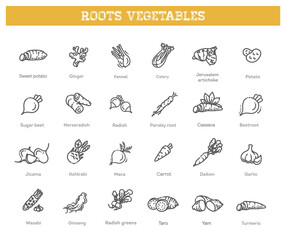 Basic root vegetables thin line icon set