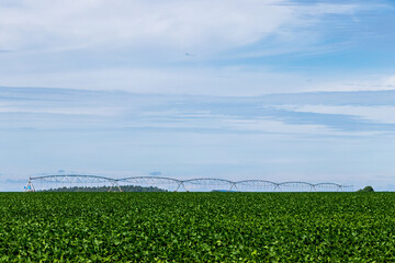Pivô de irrigação em uma plantação de soja.