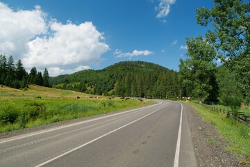 Road in Carpathian Mountains, Ukraine