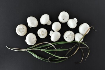 White champignons on a black background with a branch of autumn grass.
