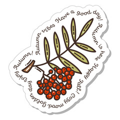 Colorful hand-drawn autumn sticker with a bunch of rowan in doodle style and lettering isolated on white background. Cute vector collection for seasonal decoration.