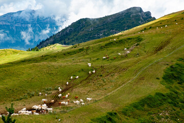 574 gresse en vercors