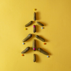 Christmas tree made of cucumbers and candies.Trendy minimal New Year concept. Winter nature flat lay.