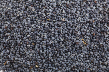 Texture of gravel poppy as background.
