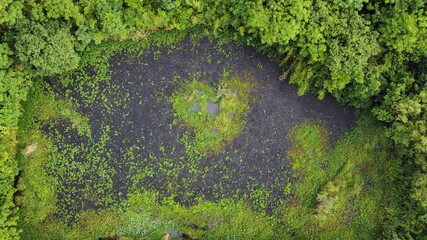 a heart land in Xixi Wetland
