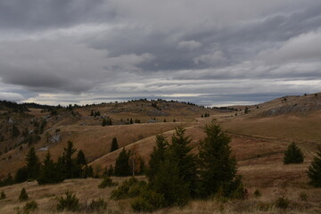 Obraz premium Autumn day to meet the rain