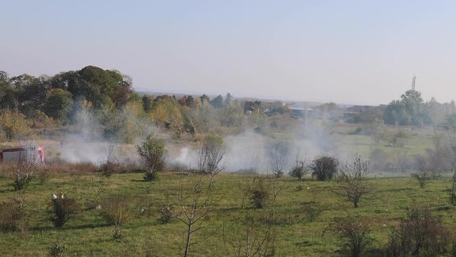 Firefighters Putting Out Fire Burning Shrubs Smoke Field