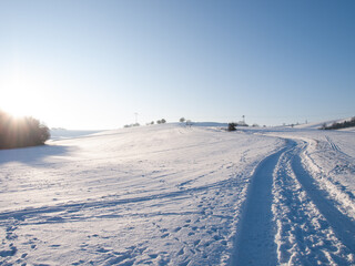 Road in a snowy field