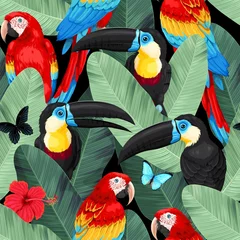 Abwaschbare Fototapete Papagei Vektornahtloses Muster mit Ara und Tukan