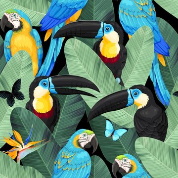 Vector seamless pattern with macaw and toucan