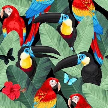 Vector seamless pattern with macaw and toucan