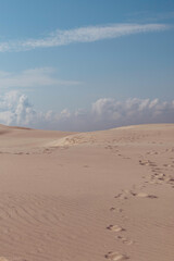 Råbjerg Mile sand dune in summer with blue sky