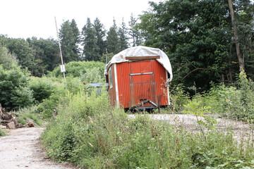 Fototapete bei efototapeten.de bestellen   