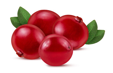 Bunch cranberry. Berry with green leaf