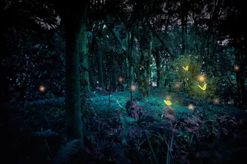 Gordijnen Fantasy forest at night with butterflies. © Sofa