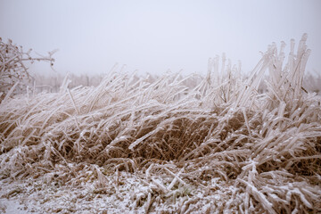 Grass landscape covered in frozen rain. winter landscape after a freezing rain