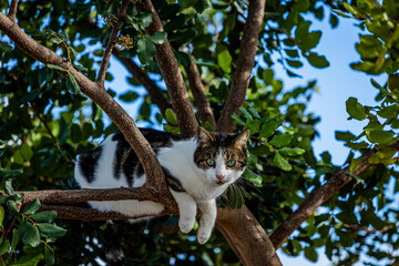 Look at me © Andrea