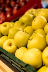 apples in the market