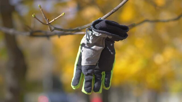 Lost glove hangs on the tree in 4k slow motion 60fps