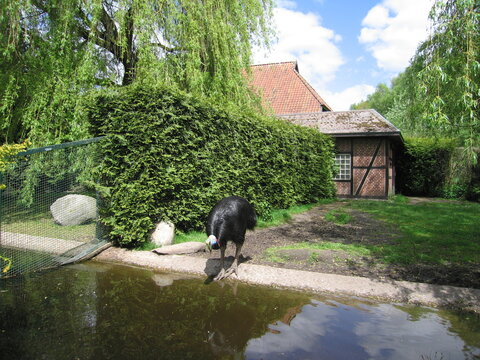 Weltvogelpark Walsrode