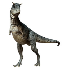 Fototapeta premium 3D Rendering Carnotaurus Sastrei Dinosur on White