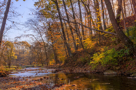 Early morning at a park in the woods with autumn foliage in Pennsylvania.