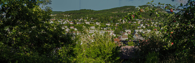 Fototapeta na wymiar grass and sky, Tinnebyen, Notodden, Norway