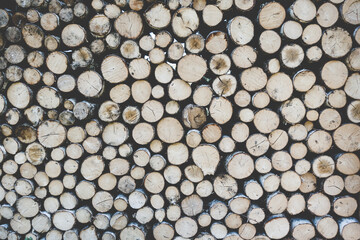 Stack of tree trunks. Texture background