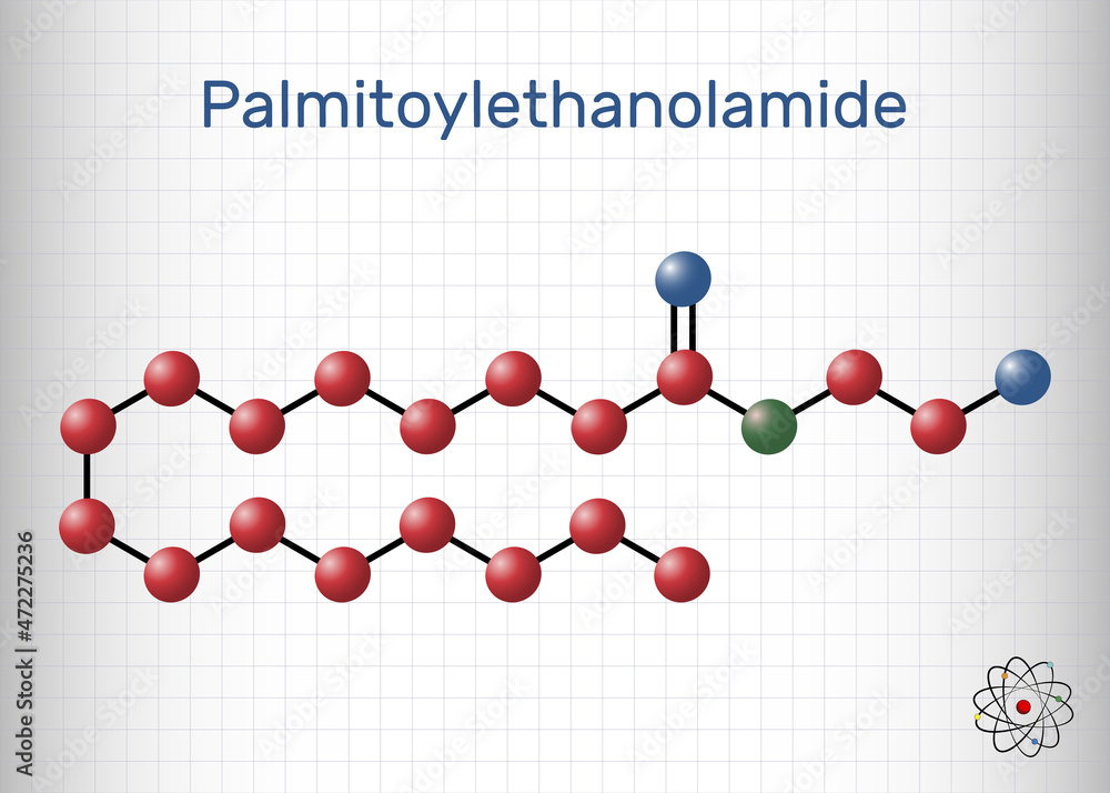 Wall mural Palmitoylethanolamide, palmitoyl ethanolamide, palmidrol, PEA molecule. It is endogenous fatty acid amide, used as prophylactic of respiratory viral infection. Molecule model. Sheet of paper in a cage