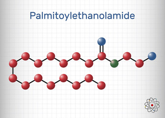Palmitoylethanolamide, palmitoyl ethanolamide, palmidrol, PEA molecule. It is endogenous fatty acid amide, used as prophylactic of respiratory viral infection. Molecule model. Sheet of paper in a cage