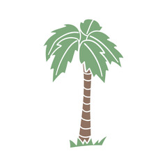 Palm tree vector illustration. Doodle style, isolated