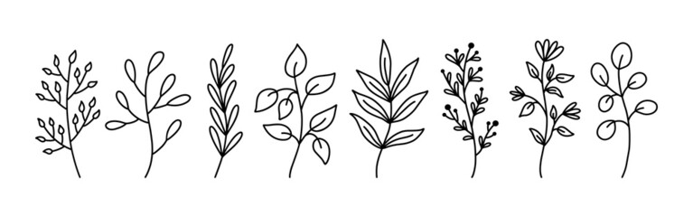 Fototapeta premium Botanical floral doodles isolated on white background. Set of abstract twigs with leaves of different shapes. Hand-drawn vector illustration. Perfect for cards, invitations, decorations.