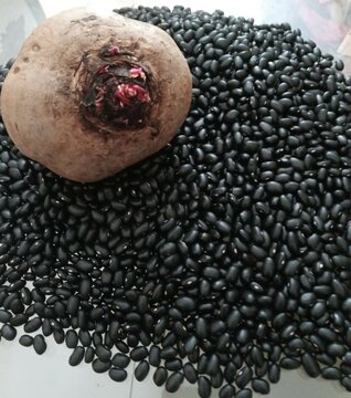 beterraba no feij&atilde;o uma alimenta&ccedil;&atilde;o saud&aacute;vel. food seed black bean