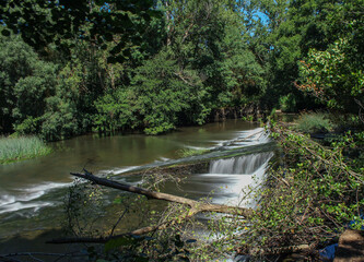 waterfall in the forest