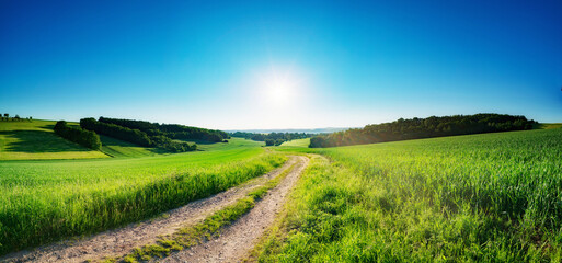 Green field and clear blue sky sun panorama
