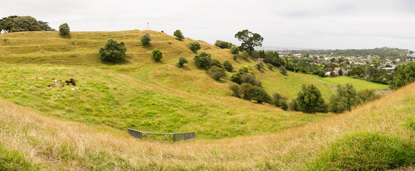 Fototapeta premium Auckland New Zealand green city park