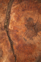 surface Wood texture background, old wood texture pattern