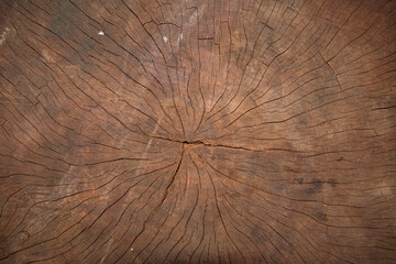 surface Wood texture background, old wood texture pattern