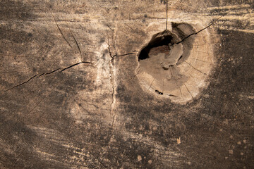surface Wood texture background, old wood texture pattern