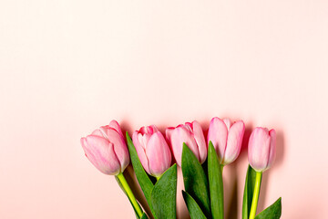 flat lay with tulip flowers on pastel pink
