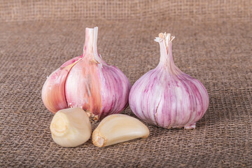 natural seasoning for the dish. garlic head and clove. there is burlap on the textured fabric. close-up