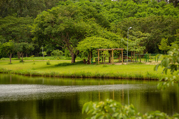 Obraz premium Parque Leolídio di Ramos Caiado. Um parque público localizado na cidade de Goiânia em Goiás.
