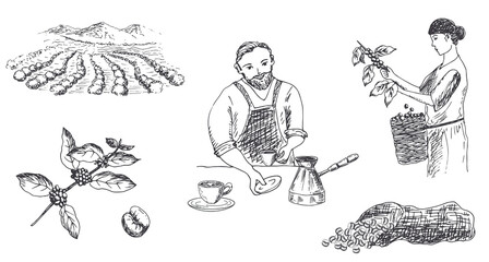 Landscape with coffee plantations. The barista serves coffee. The woman collects coffee beans. Vector illustration. Sketch.