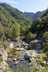 People bathing in the Gorges de la Spelunca, Ota, Corsica, France
