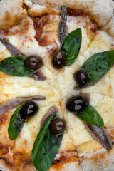 Top view of provolone and mozzarella cheese pizza with fresh basil leaves, black olives and anchovies. 